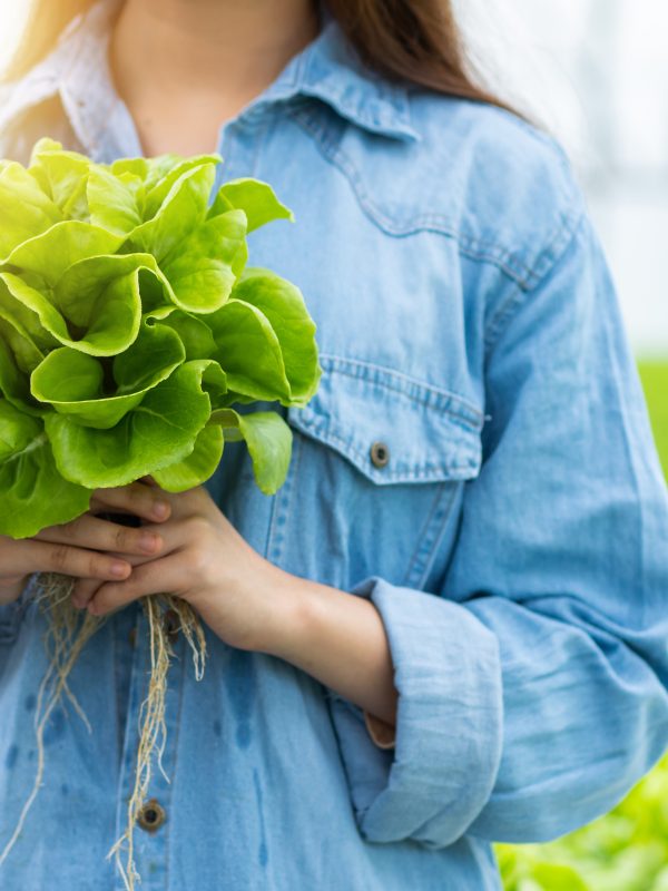 roya-tarim-okulu-basvuru-formu